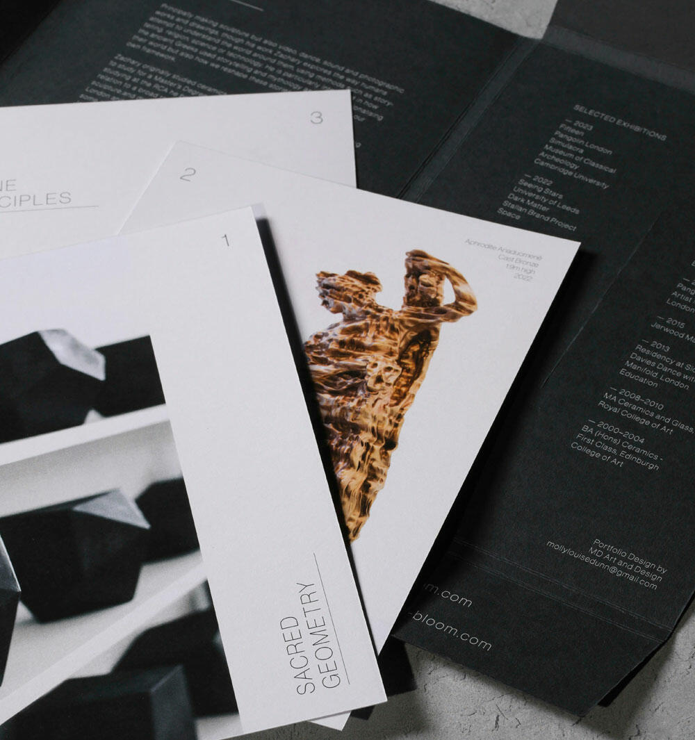 A Bunch of Brochures Sitting on Top of a Table (Demo)